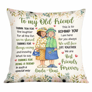 To My Old Friend Pillow