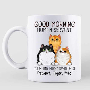 grumpy cat good morning mug